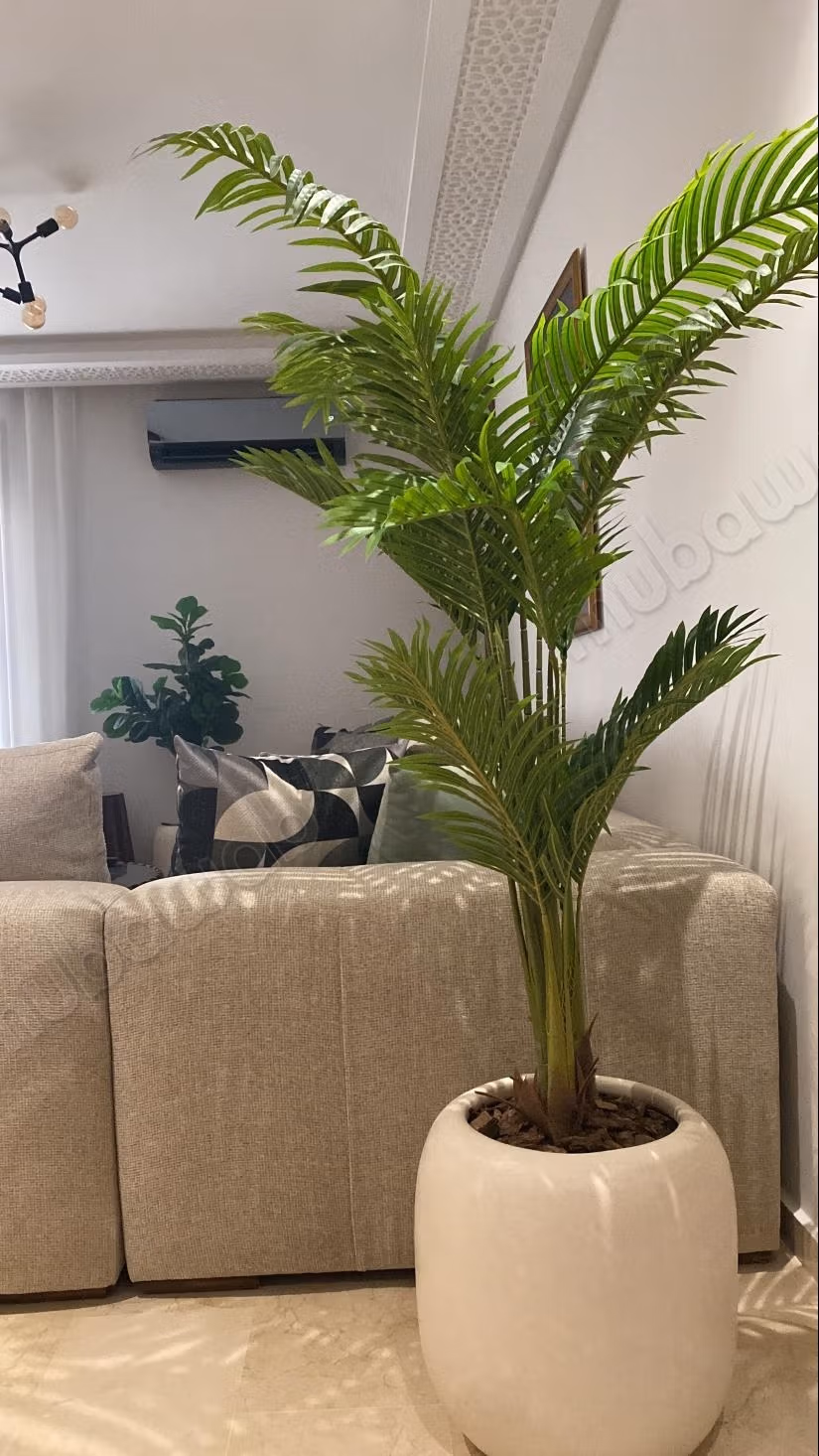 Bel appartement en location Centre Ville de rabat Bien meublé