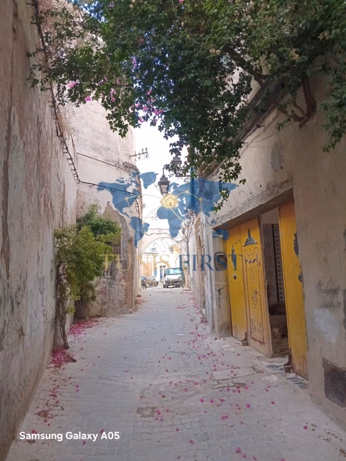 In vendita Villa in stile El Bey a Tunisi