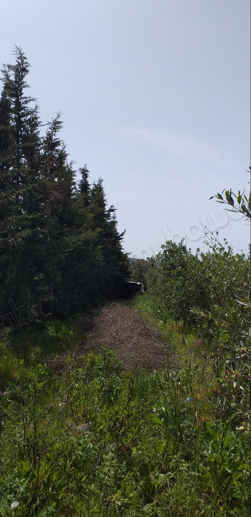 Magnifique terrain clôturé titre individuel