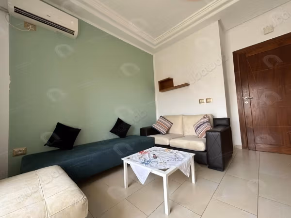 For rent a furnished S1 apartment
