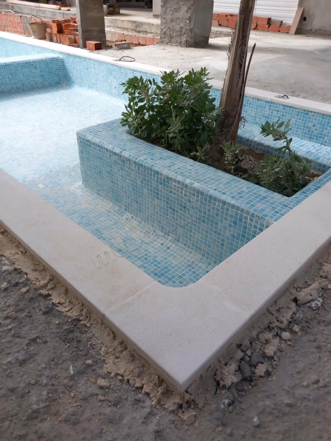 Beautiful farm with large villa and swimming pool