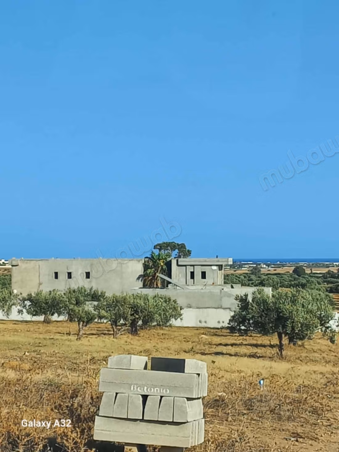 Beautiful farm with large villa and swimming pool