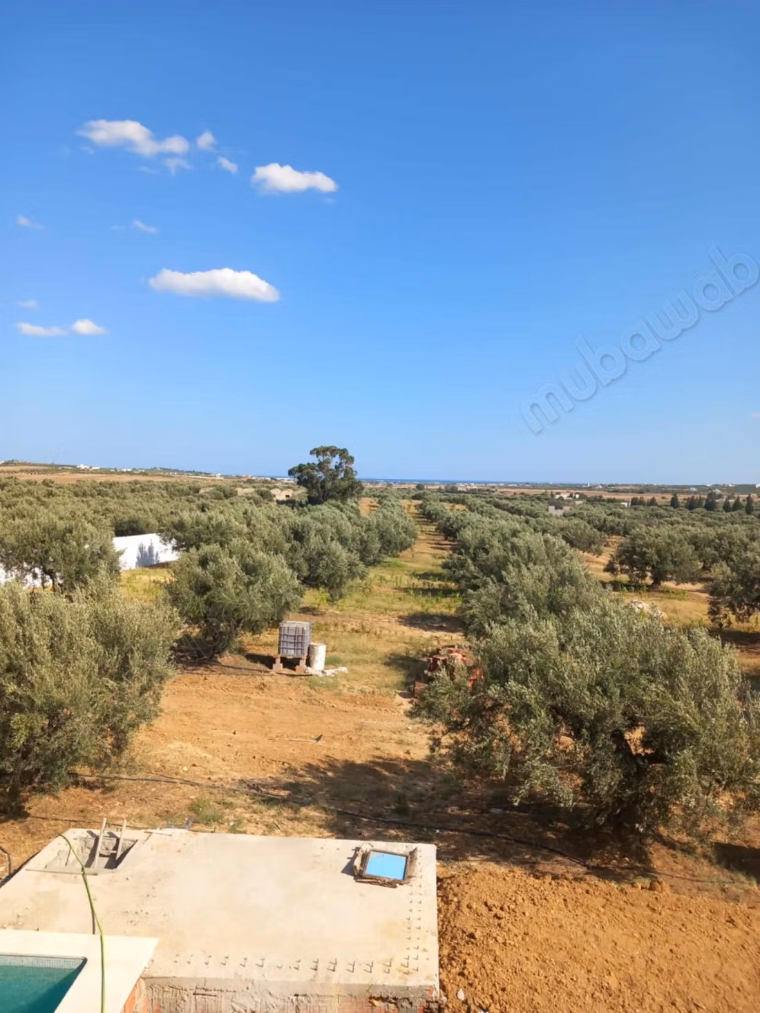 Beautiful farm with large villa and swimming pool