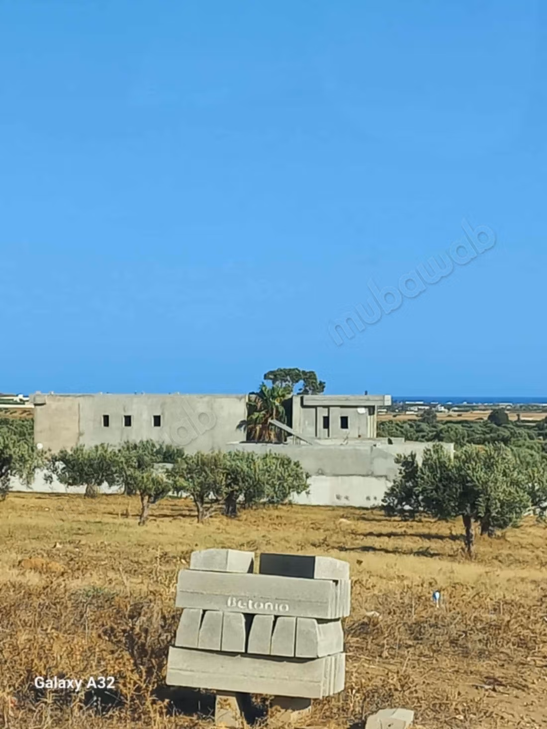 Beautiful farm with large villa and swimming pool