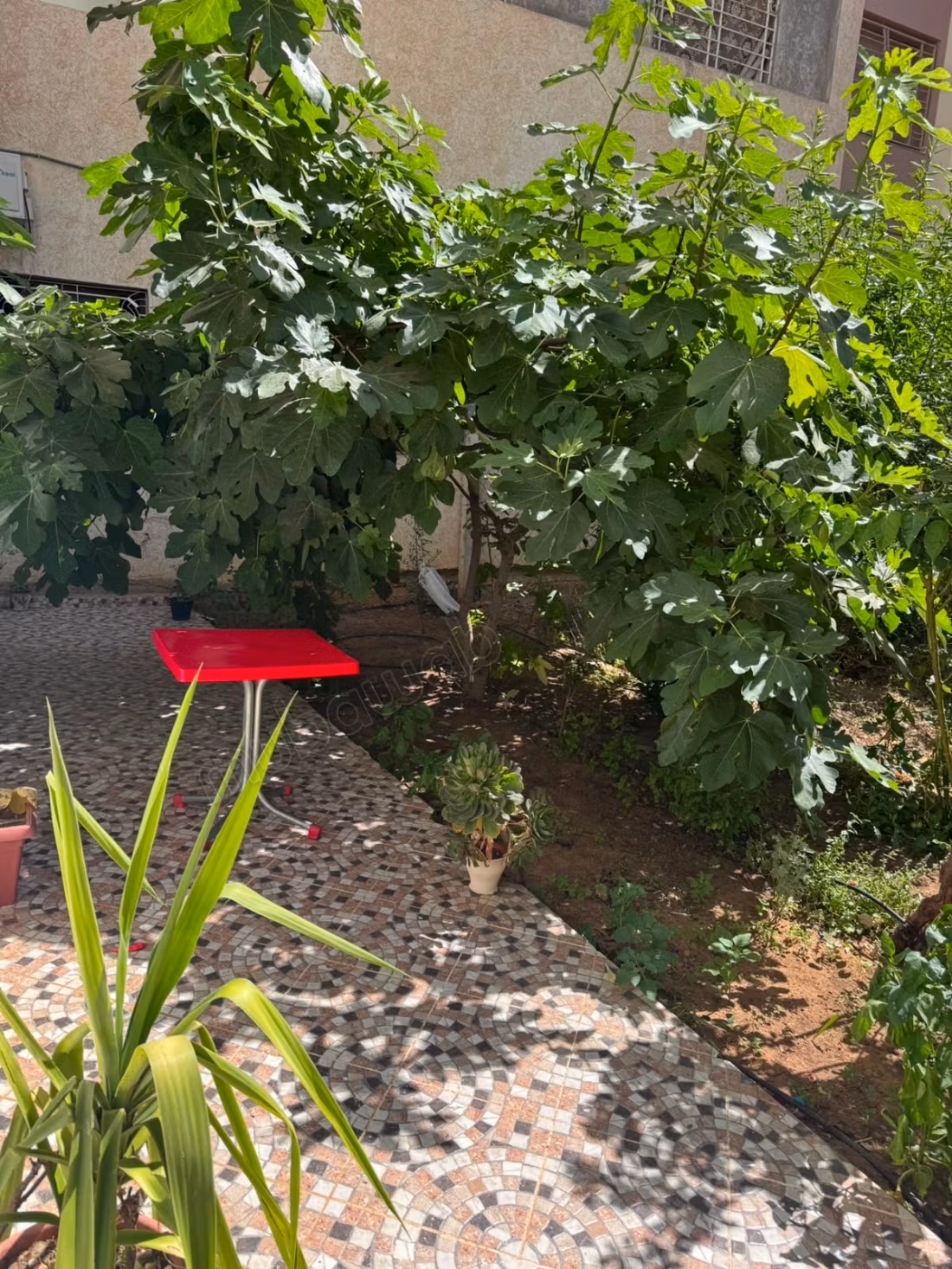 Bella casa de 2 fachadas con jardín a 45 km de Rabat