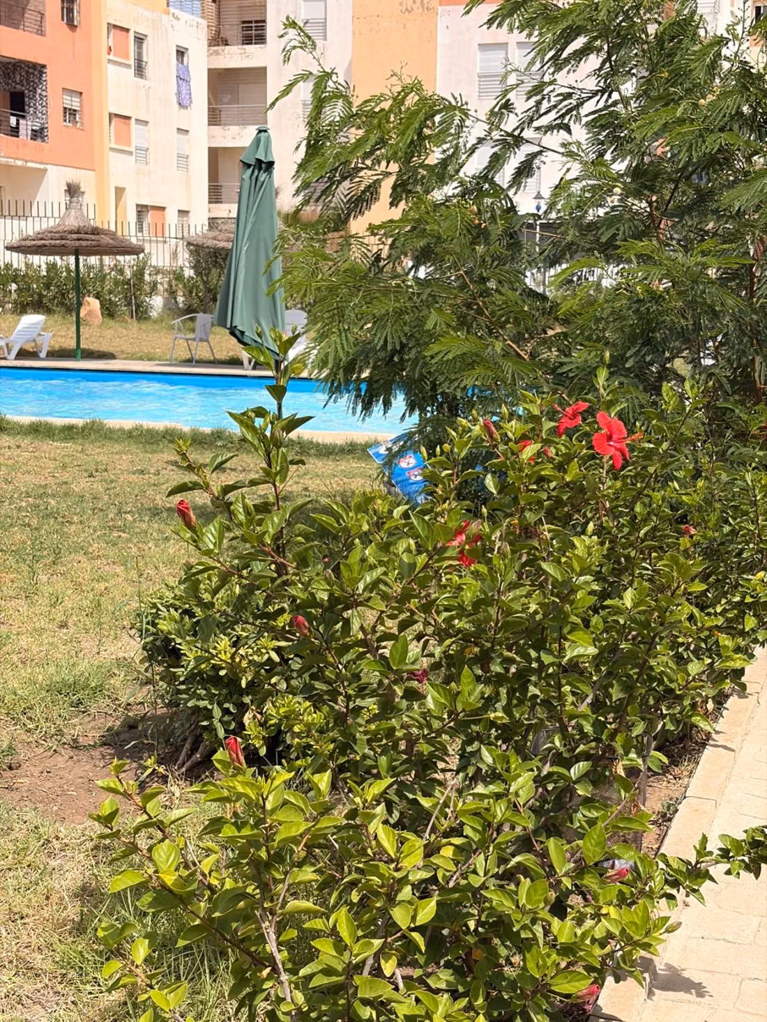 Appartement Meublé A Louer Route Nationale1 Tanger