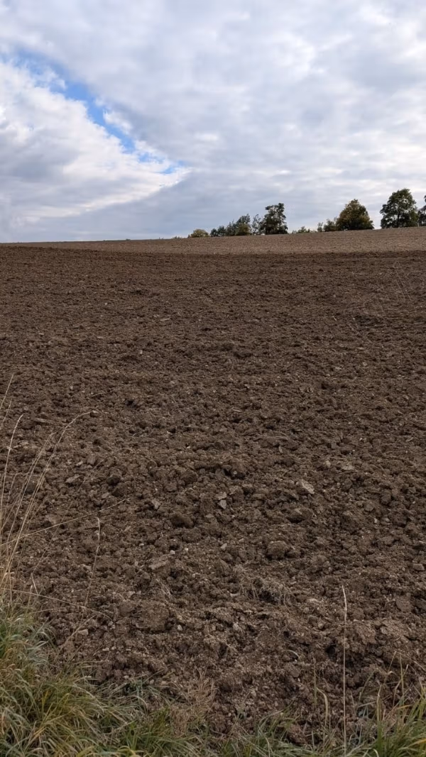 Terreno bellissimo in vendita a Belafā. La superficie totale è di 10.000 m²