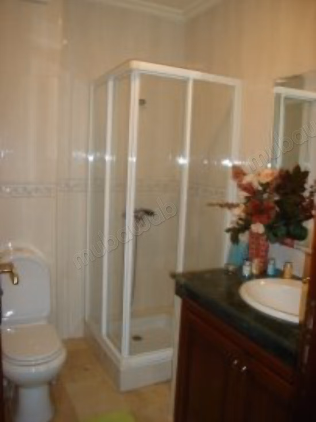 A louer Appartement 2ch Vide Valfleury