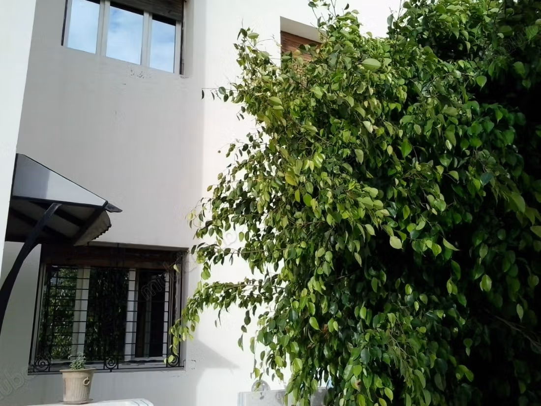 Villa en bande 250 m2