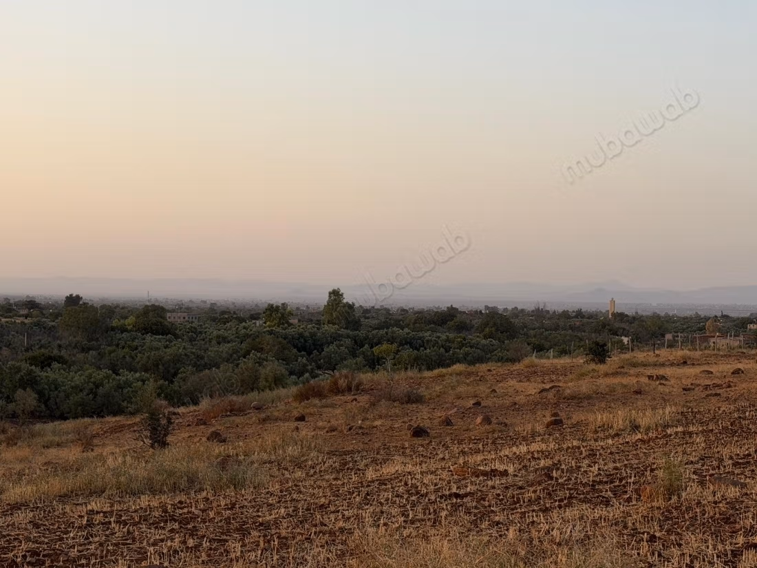 Terrain agricole de 16 000 m² à loue, rte Ourika