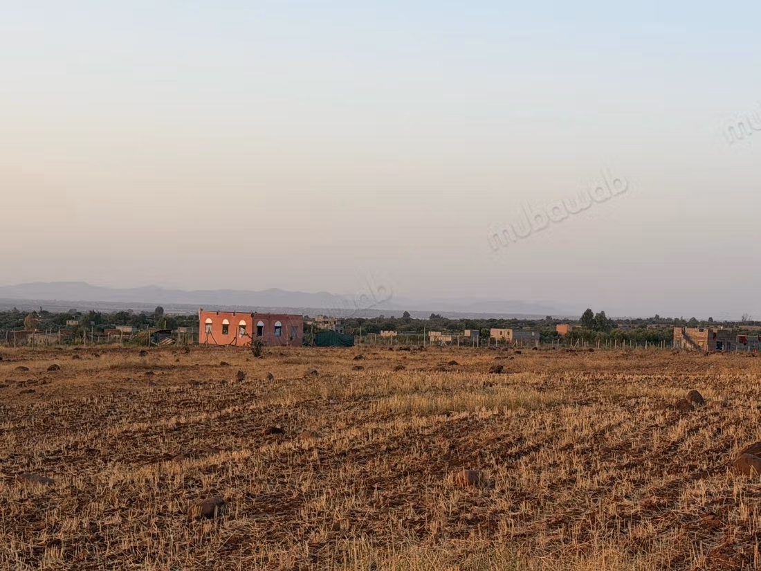 Terrain agricole de 16 000 m² à loue, rte Ourika