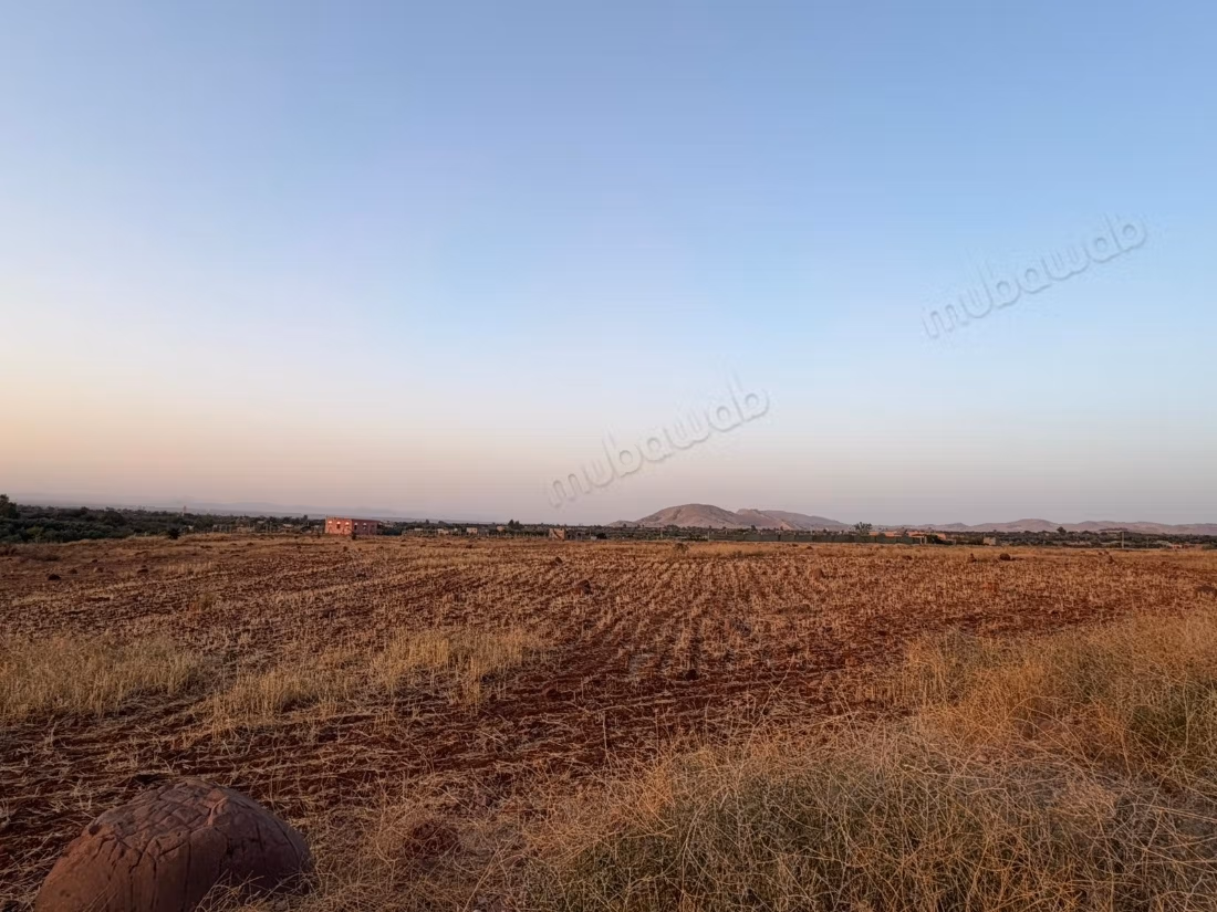 Terrain agricole de 16 000 m² à loue, rte Ourika