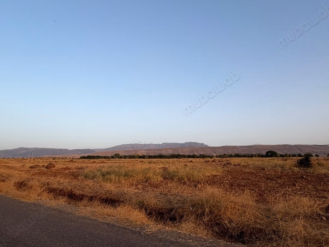 Terrain agricole de 16 000 m² à loue, rte Ourika