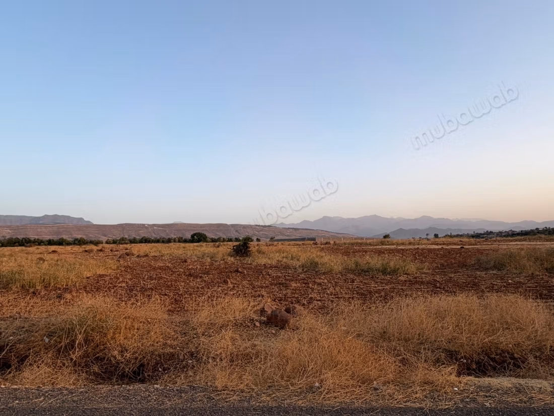 Terrain agricole de 16 000 m² à loue, rte Ourika