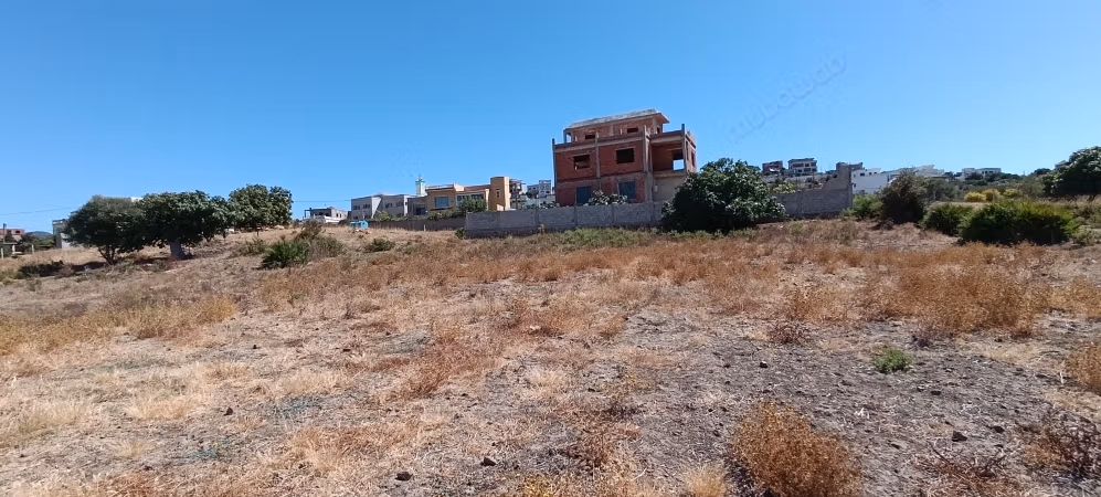 Sale of land in Ksar el Kebir precisely in the Wadalyaan area with a total area of 400 m²