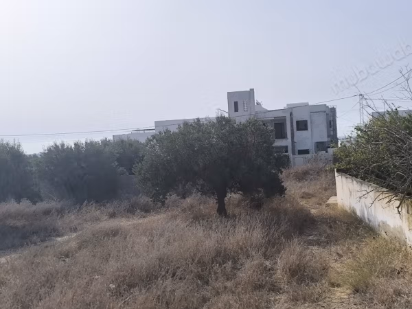 Terrai d'exception a Sidi Hamed Idéal Villa de