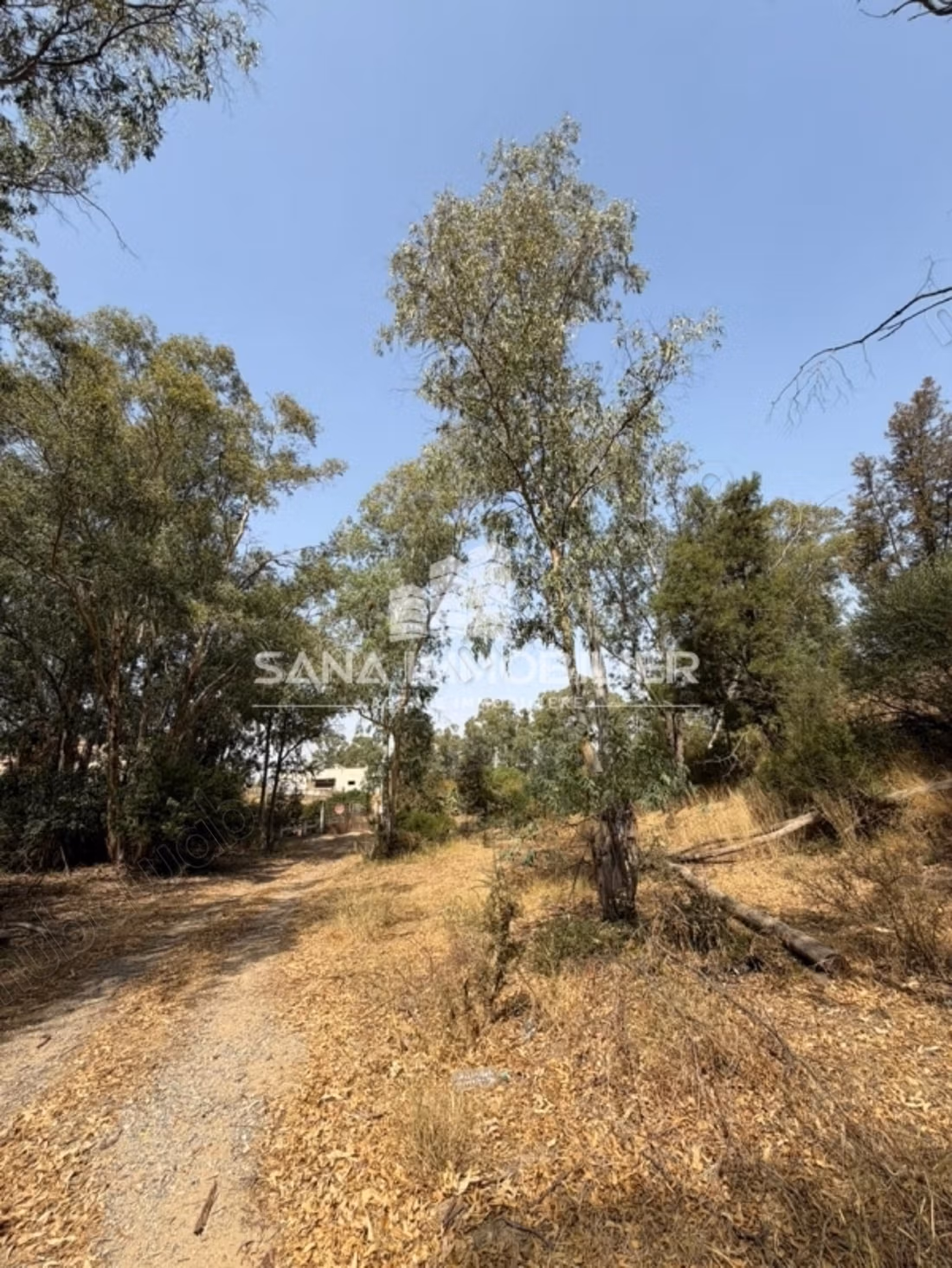 A vendre ferme agricole de 2.5 hectares