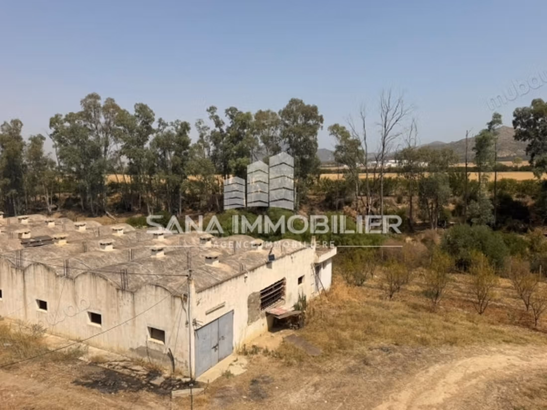 A vendre ferme agricole de 2.5 hectares