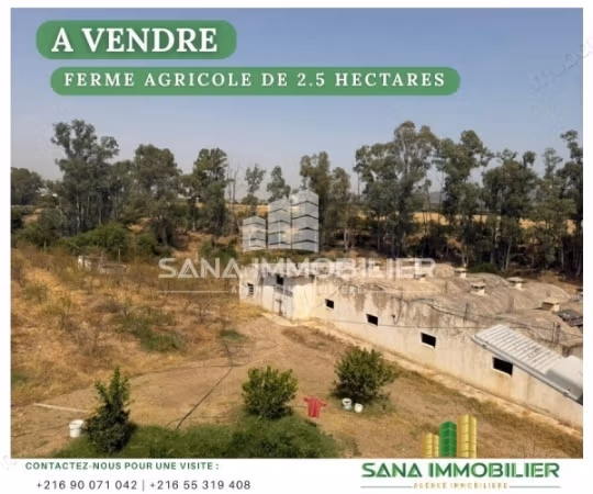 A vendre ferme agricole de 2.5 hectares