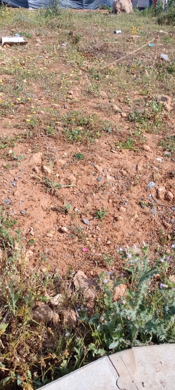Vente d’un superbe terrain r4 commercial sur ain attig