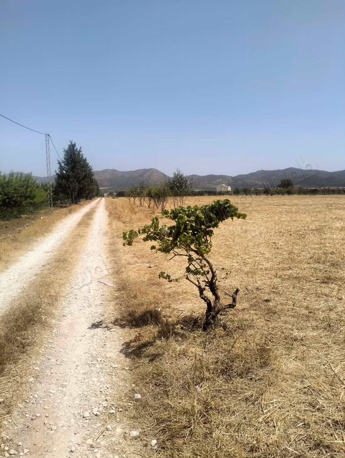 Terrain a vendre Mornag