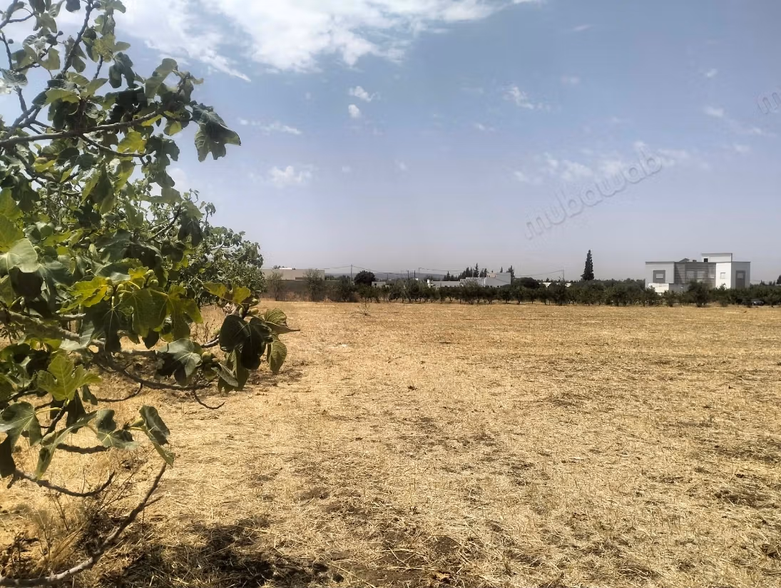 Terrain a vendre Mornag