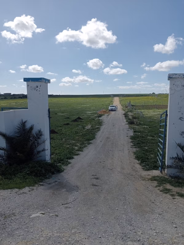 Terrain à vendre. Superficie 214 m²