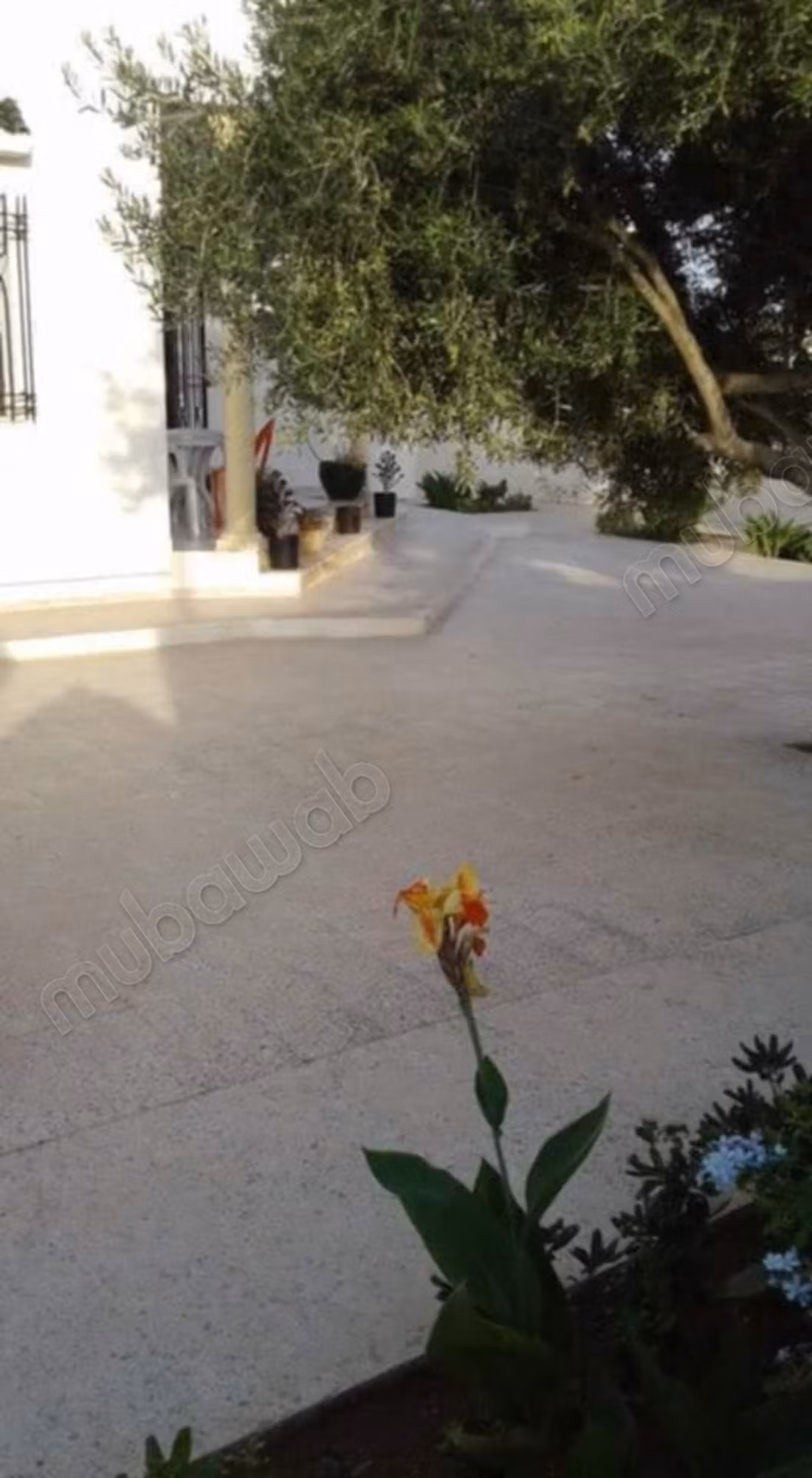 Vendita casa