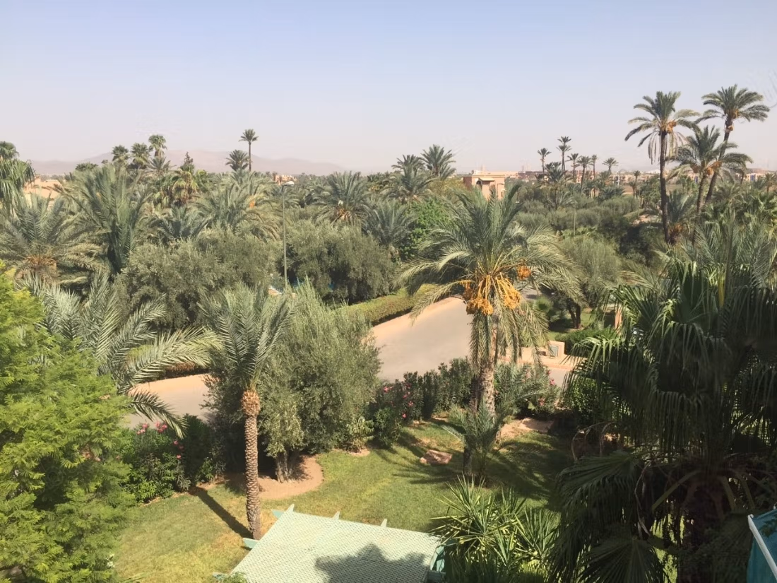 Jardins de la Palmeraie — duplex 3 chambres