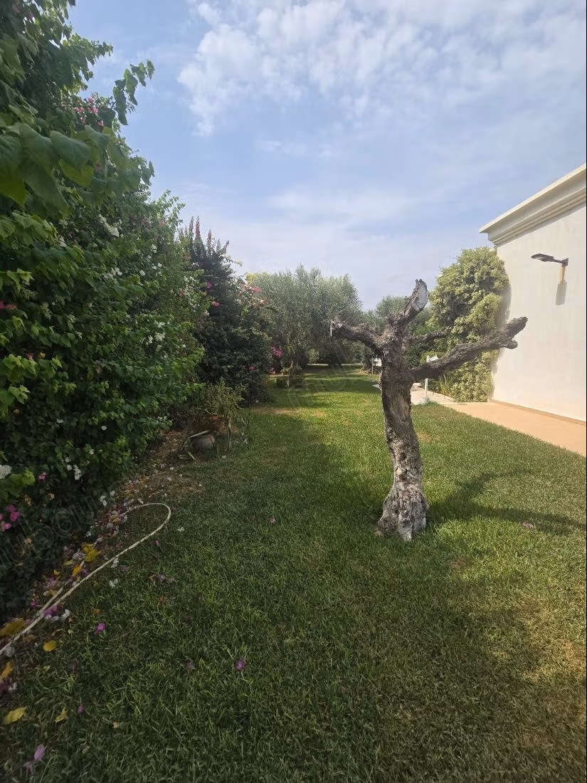 Villa de maitre vente à la soukra