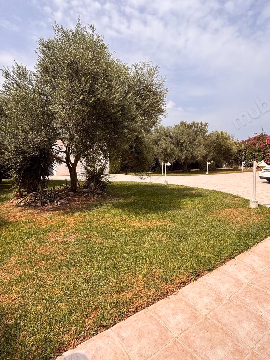 Villa de maitre vente à la soukra