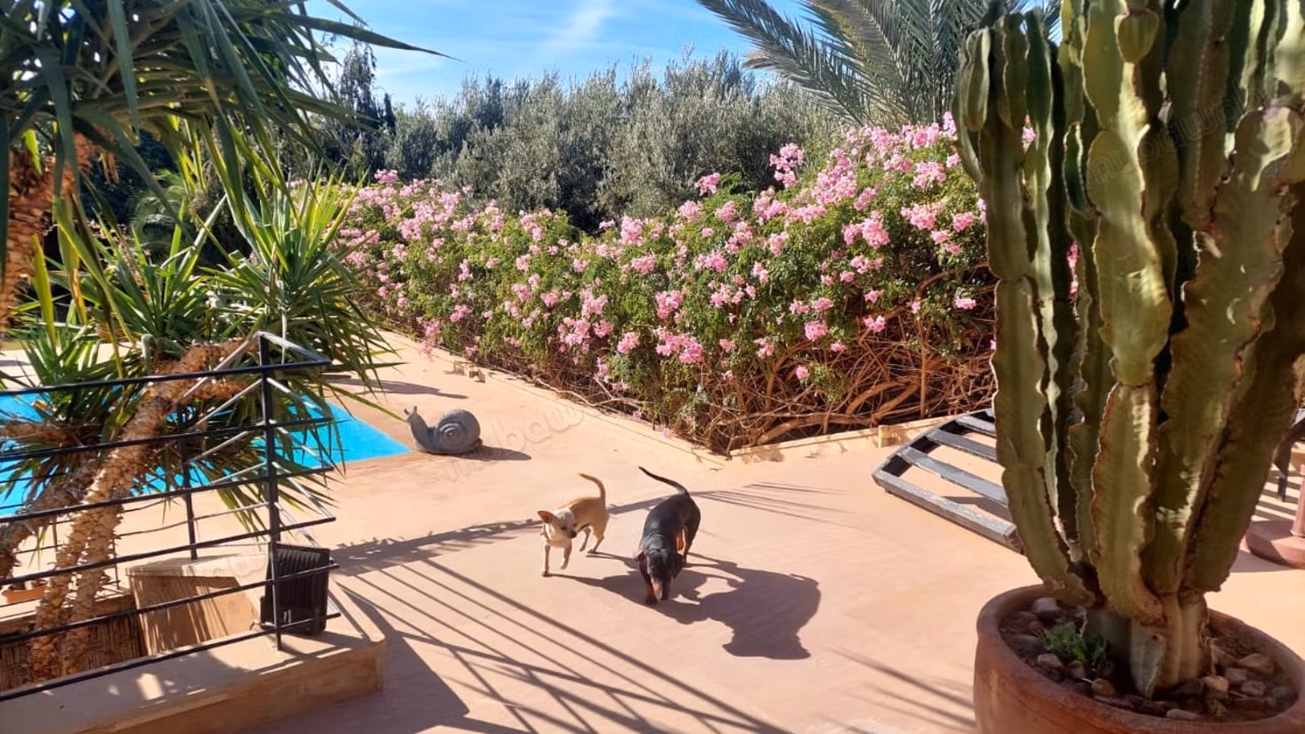 Large Villa with VNA Garden and private pool