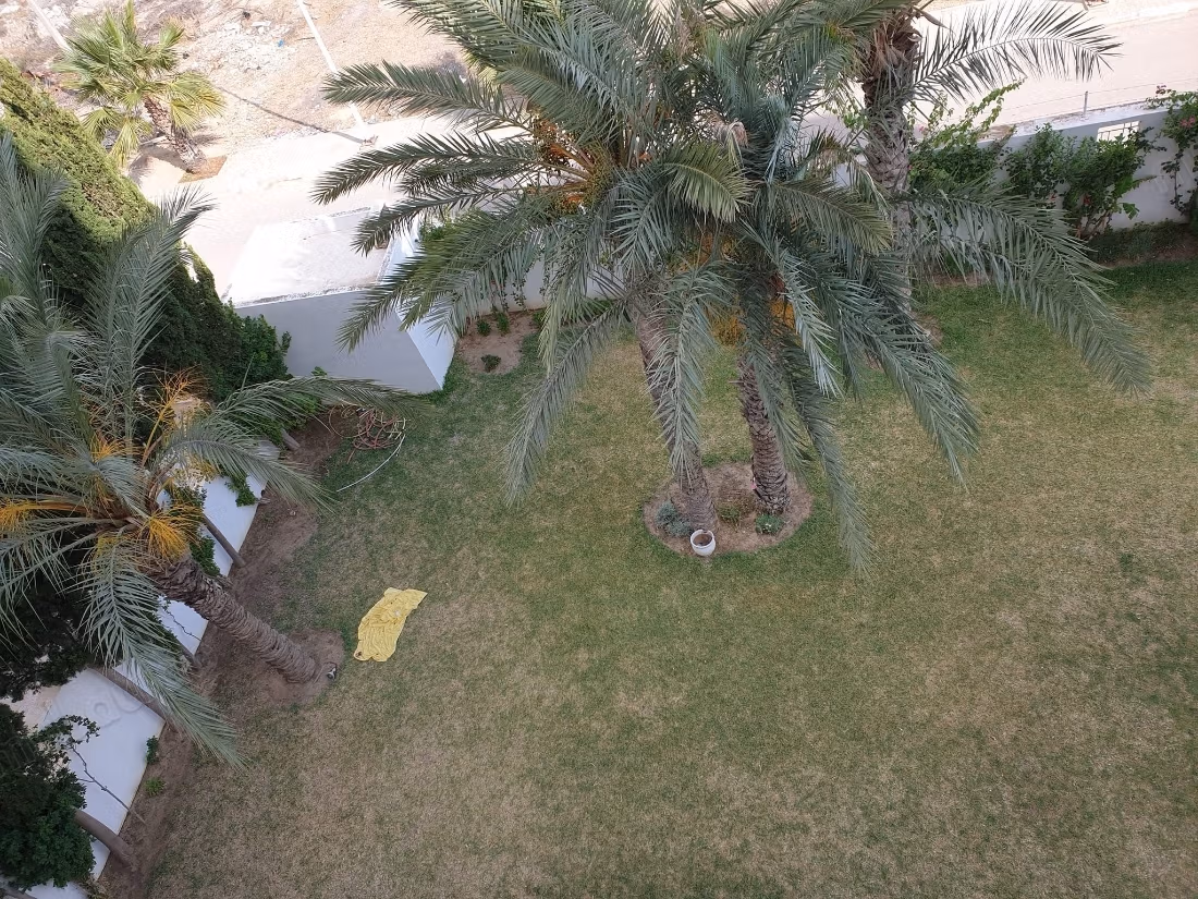 Location estivale