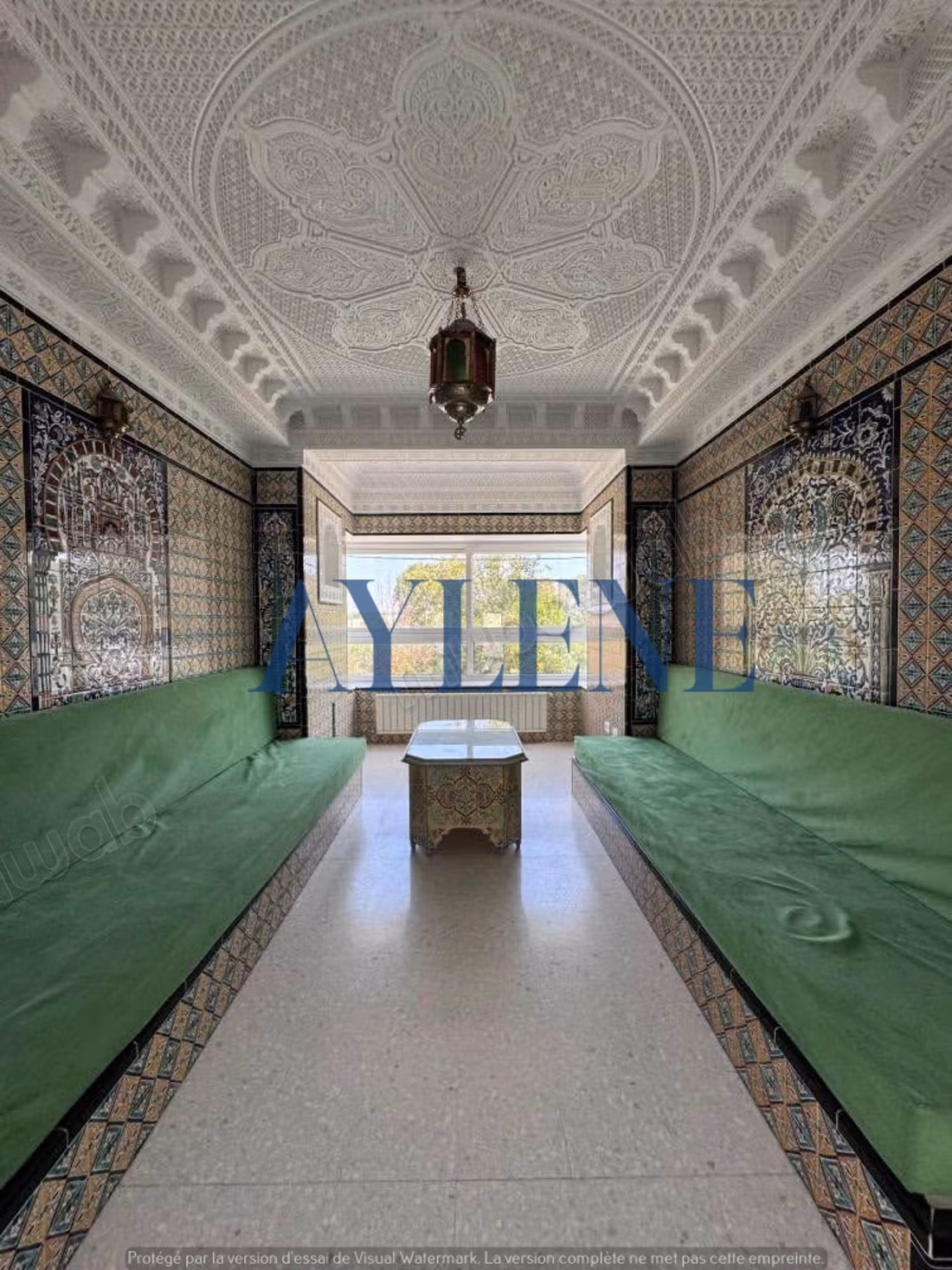 Une villa avec piscine à Carthage