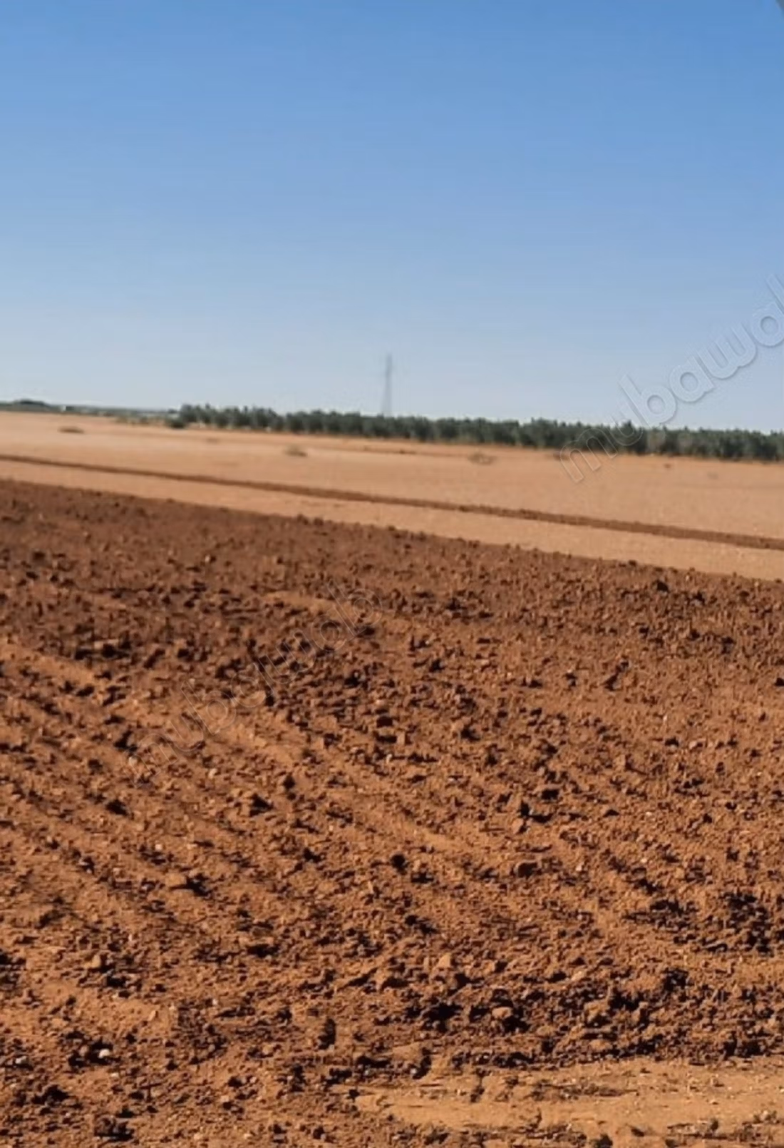 Terrain Agricole Sidi Bouatmane Marrakech