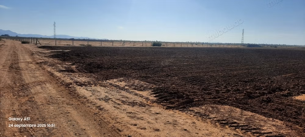 Terrain Agricole Sidi Bouatmane Marrakech