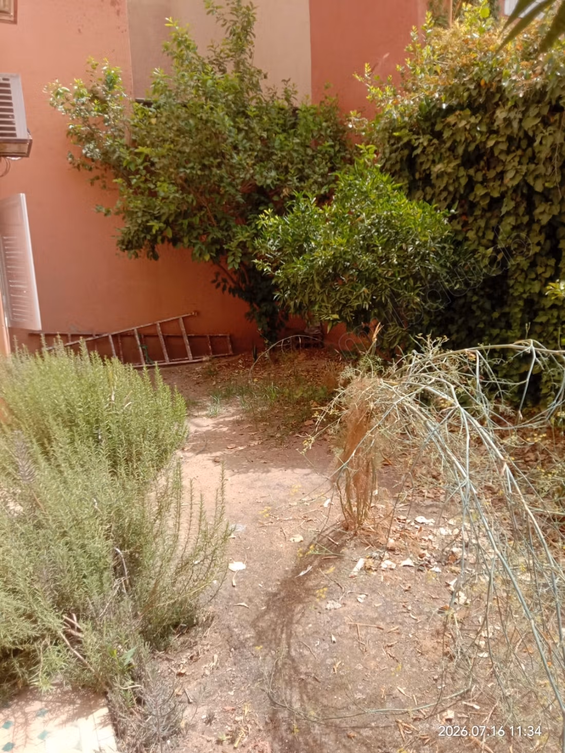 Villa in affitto