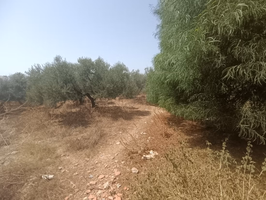Industrial Land for Sale Nabeul