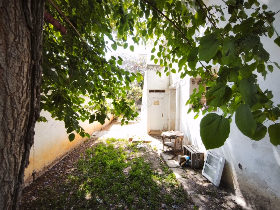 Villa les orangers