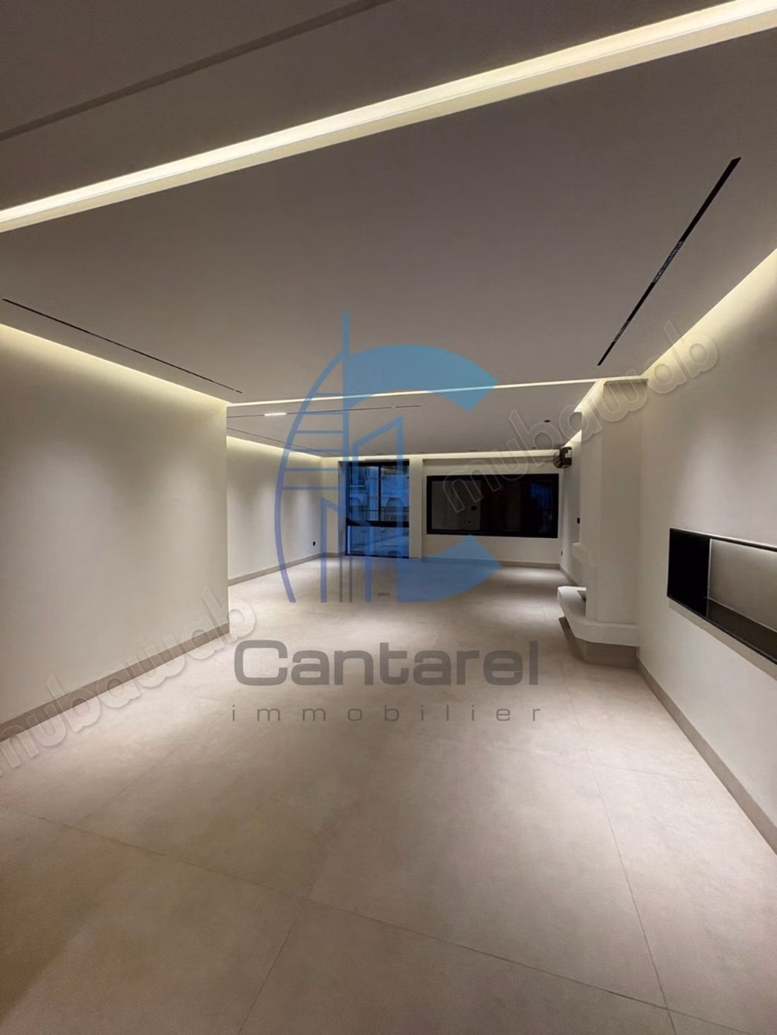 À louer appartement entièrement rénové / racine