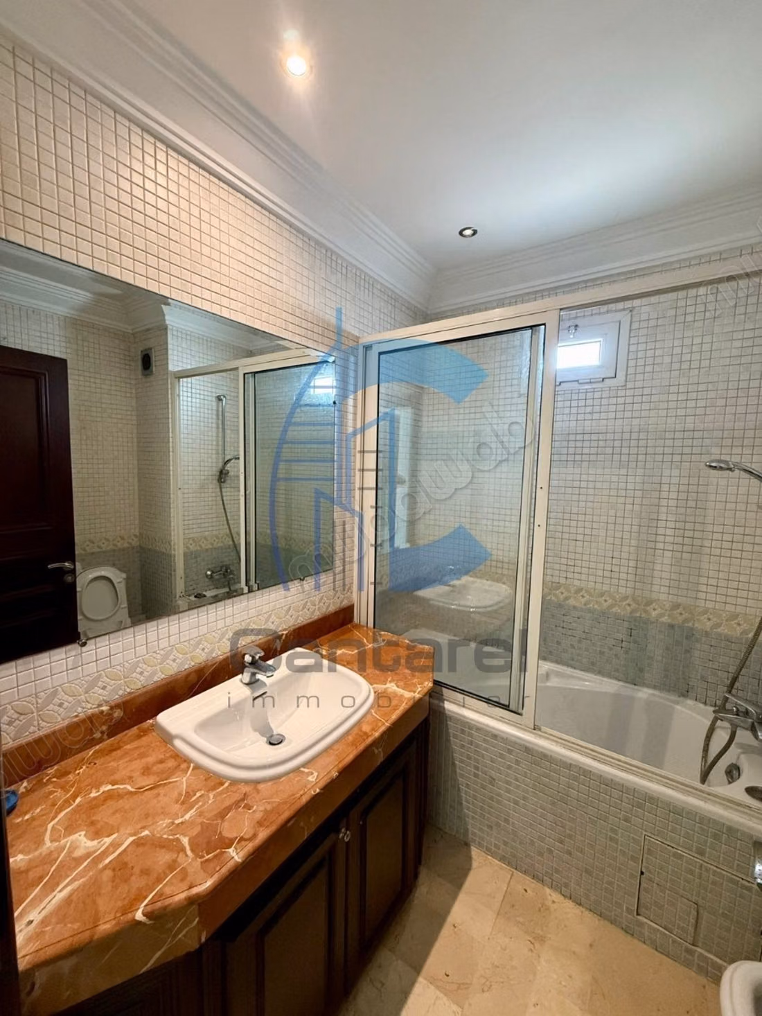À louer appartement avec grande terrasse racine