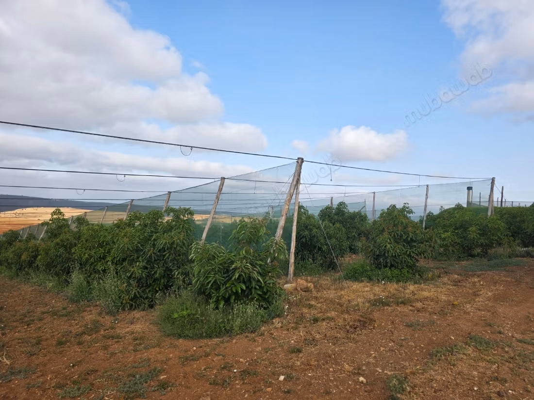 Granja agrícola integrada para la producción de aguacate