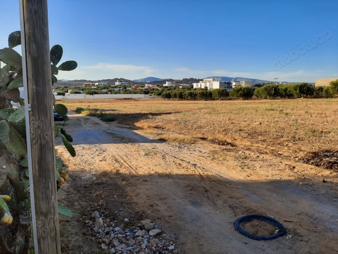 Terrain 714m3 à sidi hammed 14 km de yessmine hama