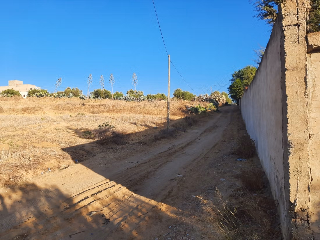 Terrain 714m3 à sidi hammed 14 km de yessmine hama