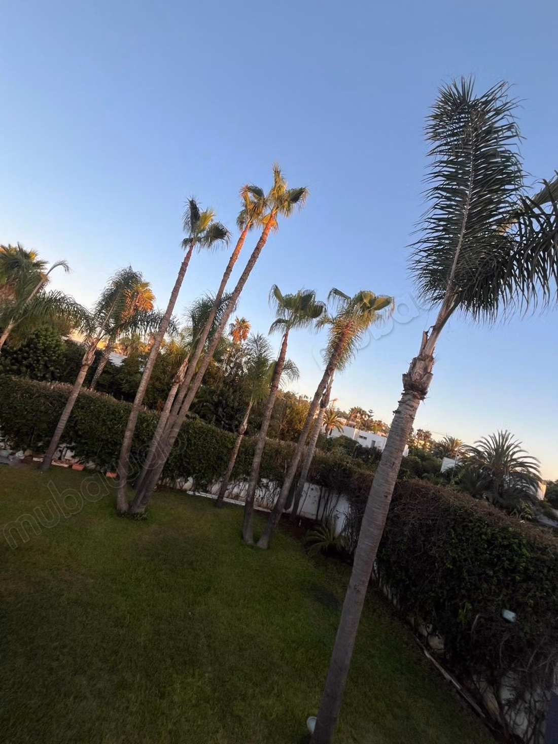 Premium villa for office use for rent in Anfa. Area 1000 m². Beautiful terraces and garden