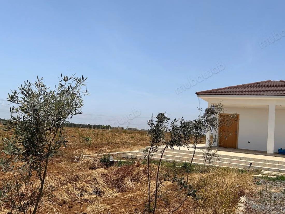 Agréable ferme à vendre à Plage Oued Cherrat.
Superficie 10 355m²