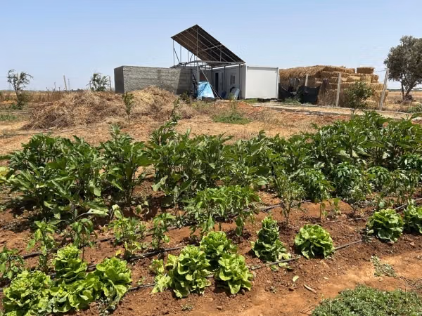 Agréable ferme à vendre à Plage Oued Cherrat.
Superficie 10 355m²