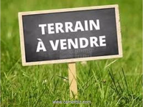 Lot de terrain de 211m2 à résidence flamant rose raoued
