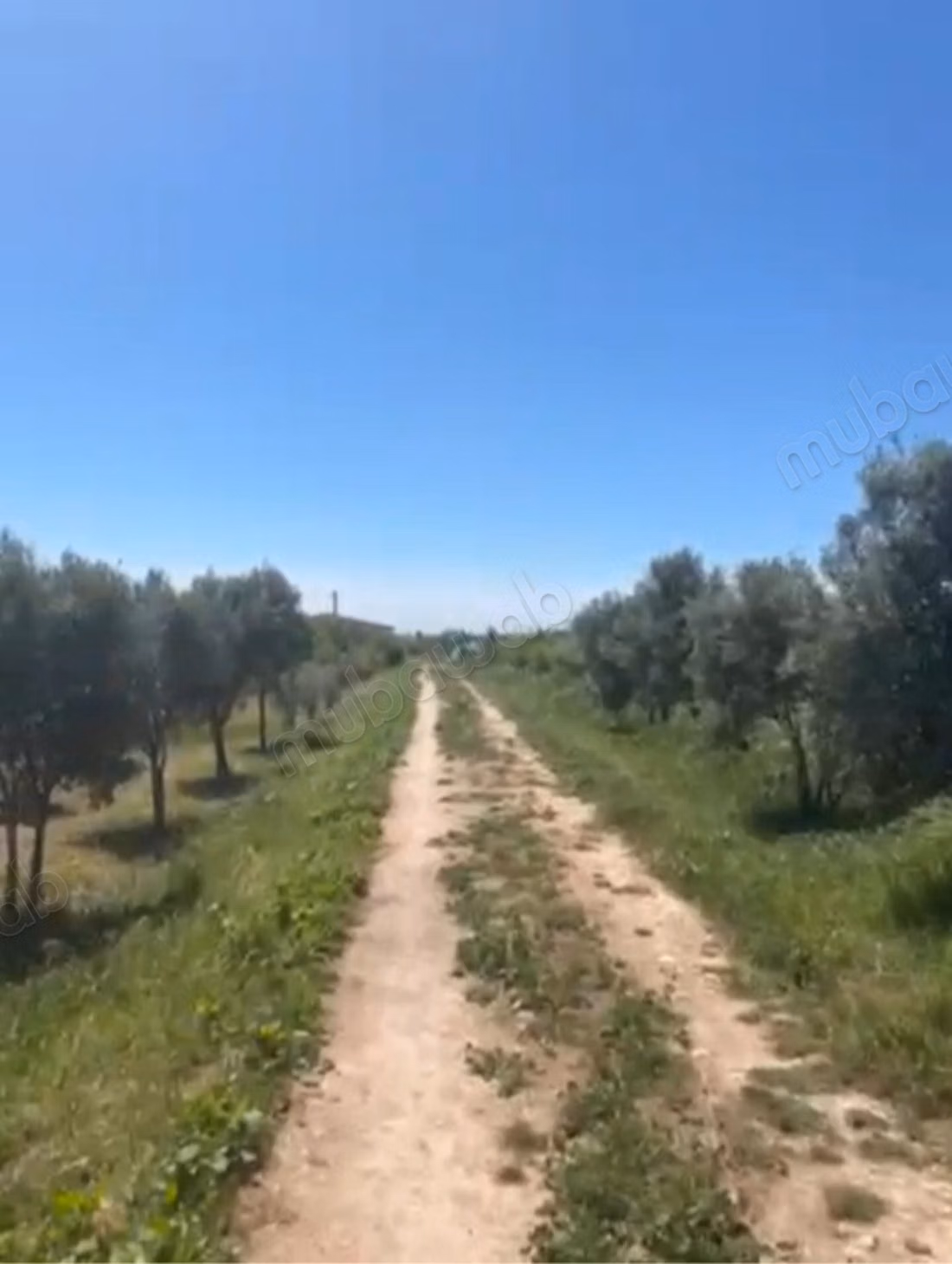 Farm for sale in Oulad Hamdane. Area of 19405 m². Secured residence