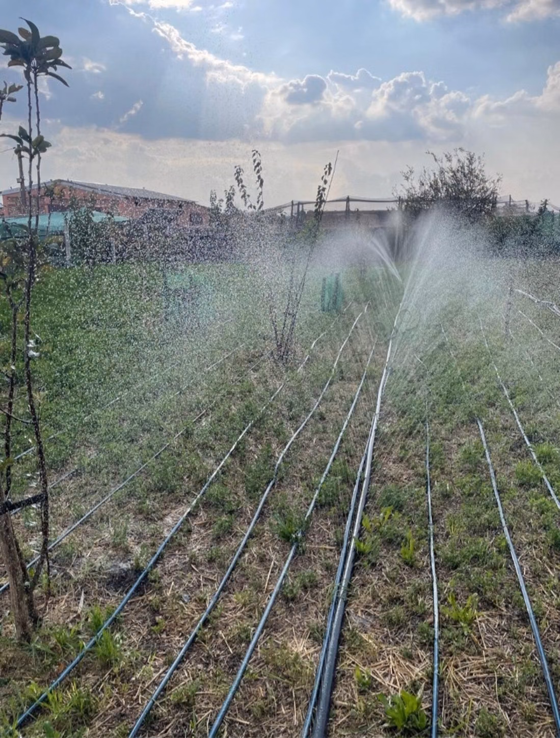 Farm for sale in Oulad Hamdane. Area of 19405 m². Secured residence